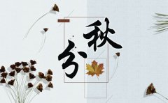 属龙的人秋分节气出生命运怎么样？