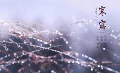 寒露一般是几号，2019年寒露是不是黄道吉日？