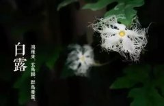 2019年白露结婚好不好，白露之后的节气秋分吗？