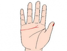 看相算命准吗_手相解析感情线分叉会怎么样