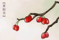 2019年重阳节日子适合领证吗,领证需要什么资料?