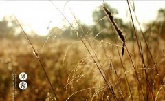 寒露还热吗？2019年寒露节气能做什么不能做什么？