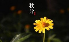 秋分习俗吃秋菜，秋菜是什么为什么要吃秋菜？
