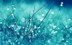 2019年寒露适不适合结婚什么生肖忌讳这天结婚？