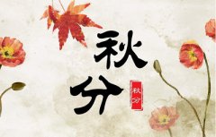 2019年八月廿五秋分节气申时出生喜用神是什么?