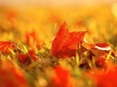 2019年9月23日秋分黄历有何宜忌,秋分有什么习俗?