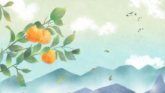 寒露习俗饮菊花酒,寒露节气与中秋节同一天的年份!