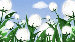 24节气之寒露的由来,白露与寒露的区别