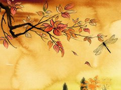 2019年秋分养生需要注意什么,今日秋分卦象是下下卦吗？