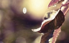 2019年寒露可以理发吗？寒露节气卦象好不好？