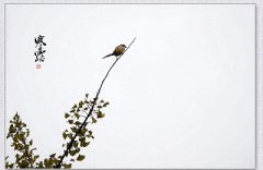 寒露节气后天气还会热吗?寒露后是什么节气?