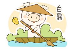 2019年白露节气从几点几分开始?白露米酒是什么