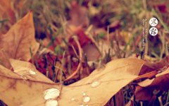 2019年10月8日寒露搬家好吗前一天能不能搬家?