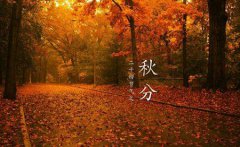 2019年秋分前一天订婚好不好,2019年秋分后是什么季节？