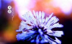 2019年10月8日寒露出生的人八字里缺啥？