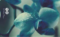 2019年九月初十寒露日子好不好前一天是什么日子？