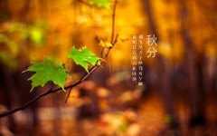 什么是“一场秋雨一场寒”，2019秋是农历几月几日？