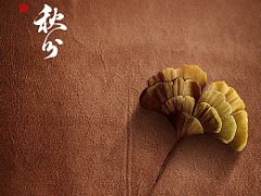 秋分节气有三候，三候分别是什么？