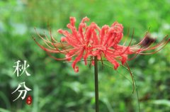 2019年秋分后一天适不适合结婚,什么是秋祭月?