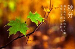 二十四节气秋分的谚语诗句大全