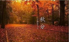 秋分订婚好吗，秋分时节经常会下雨吗？