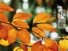 秋分节气特点介绍，秋分送秋牛是什么意思？