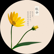 2019年八月廿五秋分日子好吗，秋分是什么季节？
