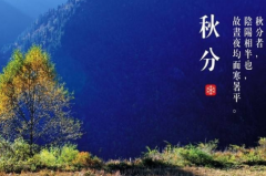 秋分日子太阳直射在哪里，秋分不下雨会怎么样？