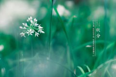 秋分民政局有上班吗，2019秋分这天可以登记结婚证吗