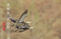 2019年8月13日距离白露还有几天，白露一定有“露”吗？