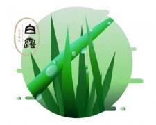 白露习俗,白露吃龙眼是什么意思?白露节气风俗