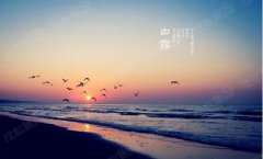 2019年白露出生的宝宝五行缺什么，白露出生命理和运势