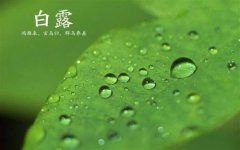 2019白露那天什么时间是白露真正到来?白露具体时间时分秒