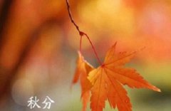 2019秋分是几月初几？秋分的三候是什么？