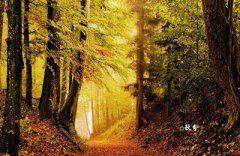 秋分前后天气如何?秋分后的第一个节气是什么?