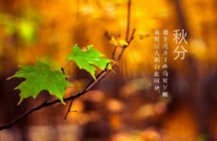秋分节气的含义是什么?秋分有什么寓意