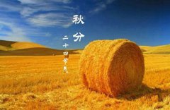 秋分是二十四节气中的第几个?秋分节气注意什么?
