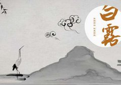 白露是什么节气,白露是下一个节气是秋分吗？