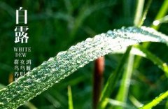 白露吃什么传统食物?白露吃什么对身体好?