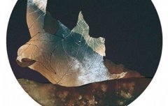 2019年白露可以回娘家吗,白露有哪些传统习俗?