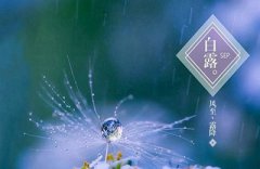 2019年八月初十白露可以理发吗?八月理发吉日有哪些?