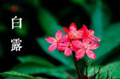 白露之后天气开始转凉了吗,白露一般是哪天?