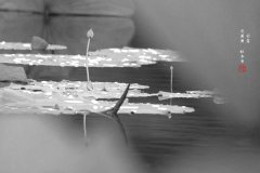 2019年白露节气是什么时候开始什么时候结束,卦象是上上卦还是下下卦?