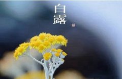 2019白露是几月，二十四节气为什么是阳历？