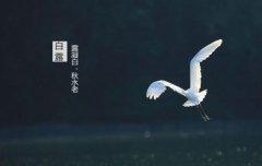 白露节气有什么风俗习惯？全国各地白露风俗