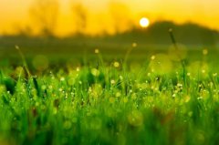 白露是阳历的几月,2019年白露这天卦象是上上卦吗？