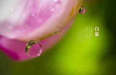 白露秋分夜，一夜冷一夜是什么意思？