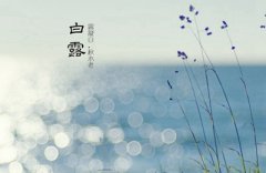 白露的谚语有哪些？秋天节气与夏天节气有什么变化？