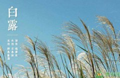 2019年白露出生的男宝宝好吗，白露出生的伟人名人