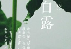 白露节气是什么意思,24节气白露的含义!